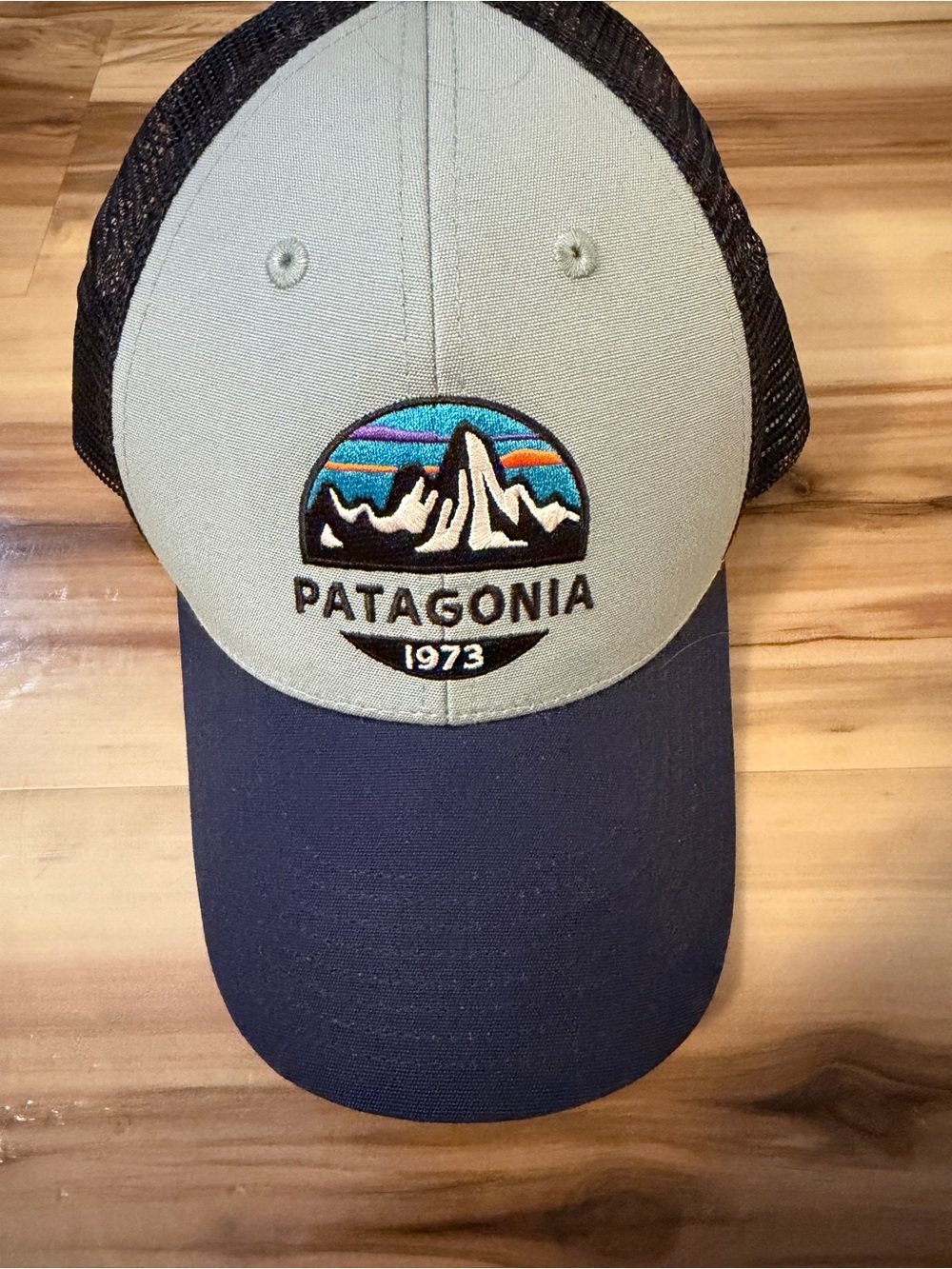Patagonia 1973 Mountain Logo Trucker Hat Gray Navy Adjustable